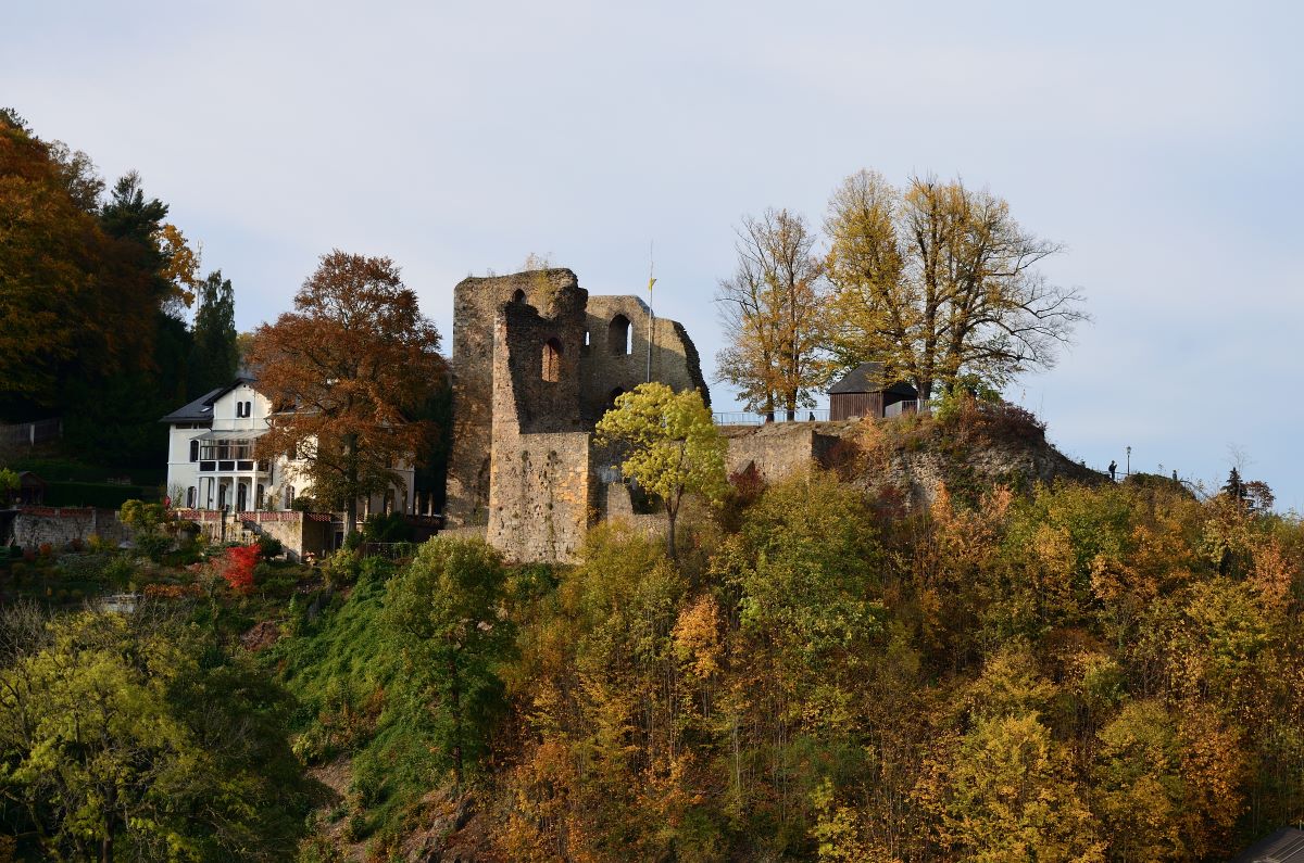 DSC_7520_00001n.jpg