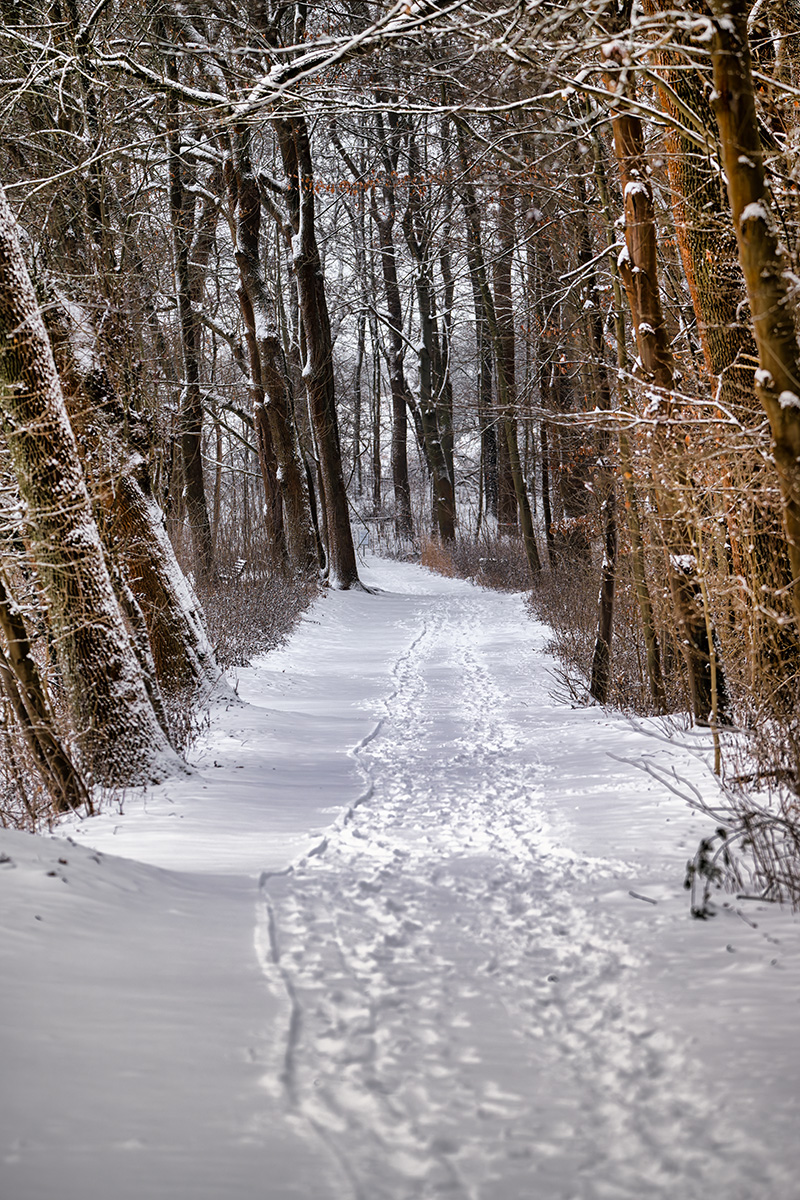 DSC_7524.jpg
