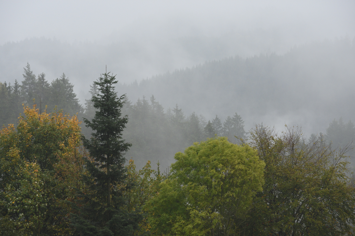 DSC_7576.JPG