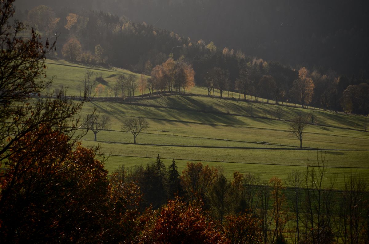 DSC_7588_00001n.jpg