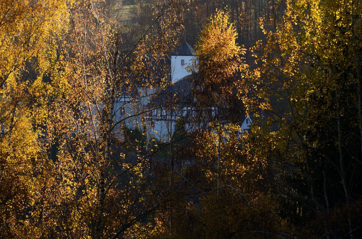 DSC_7597_00001n.jpg