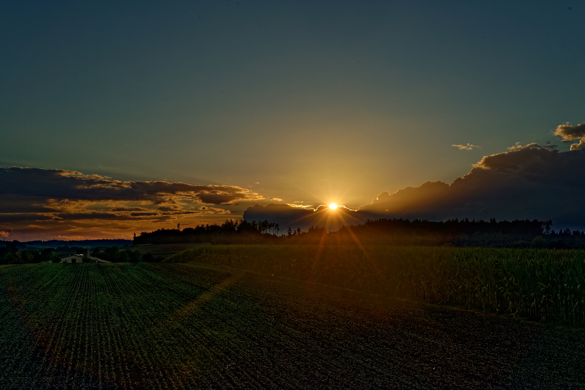 DSC_7669_DxO.jpg