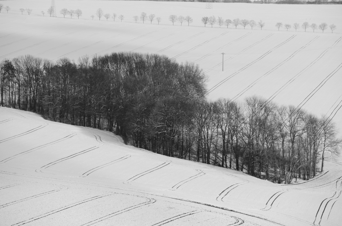 DSC_7696_00001_06n.jpg