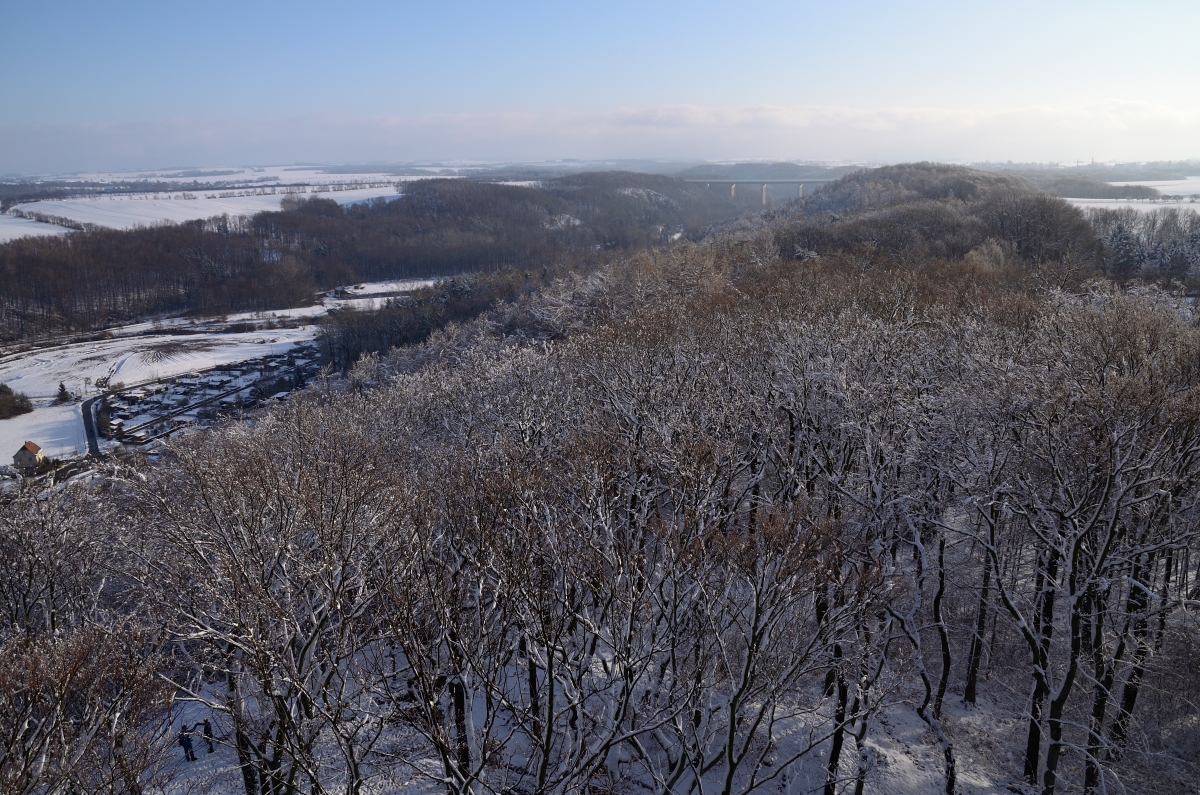 DSC_7705_00001n.jpg