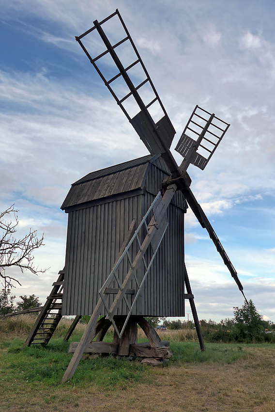 DSC_7721a.jpg