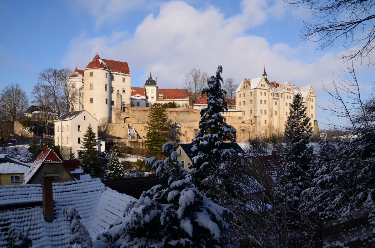 DSC_7726_00001n.jpg