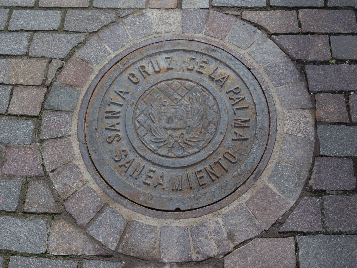 DSC_7726a.jpg
