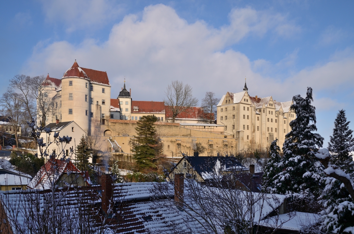 DSC_7727_00001_01n.jpg