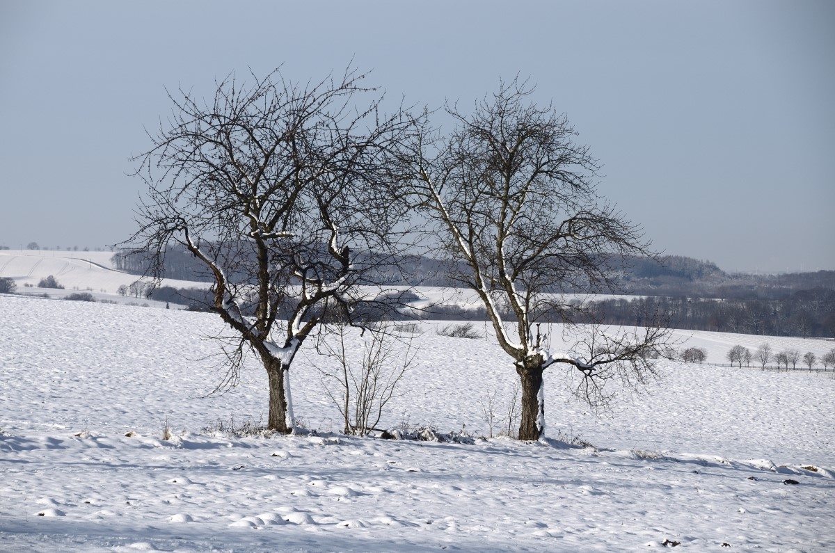 DSC_7738_00001_01n (2).jpg