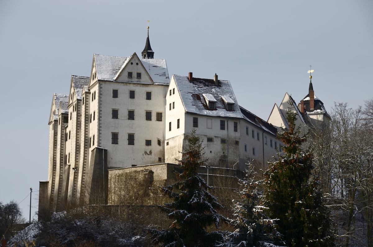 DSC_7749_00001_01 (2)n.jpg