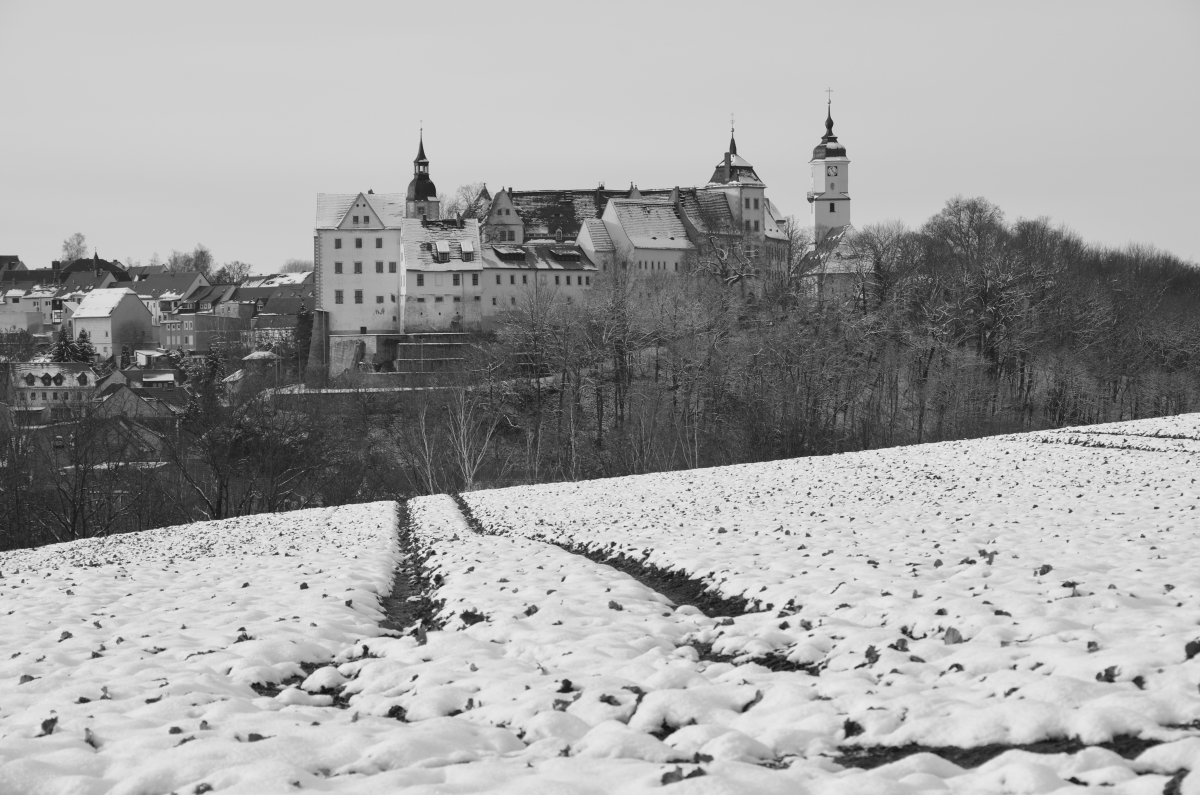 DSC_7757_00001_06n.jpg