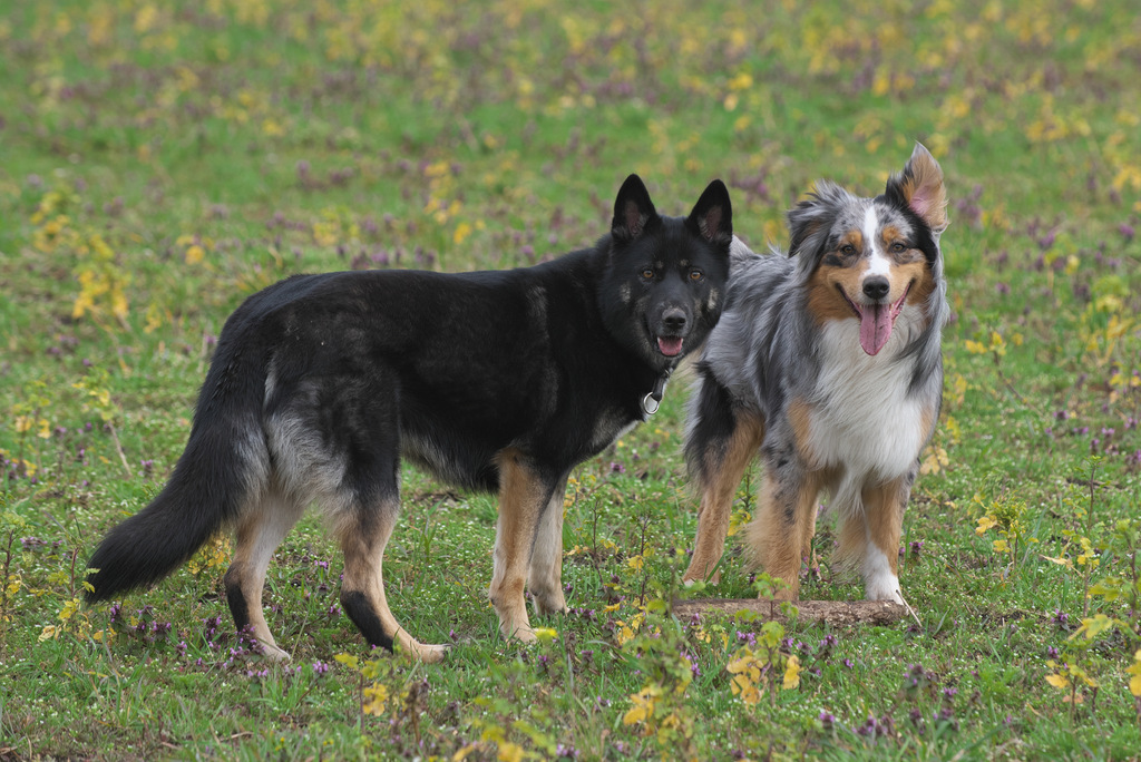 DSC_7783.jpg