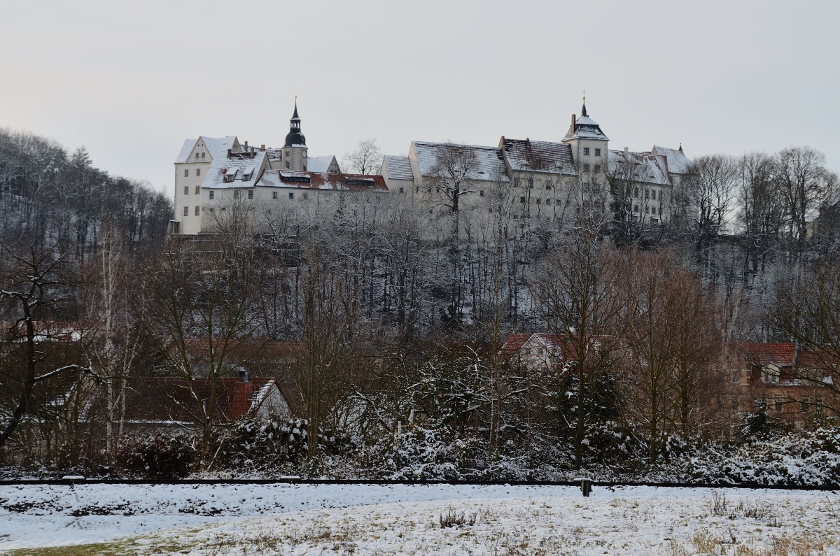 DSC_7784_00001_01n.jpg