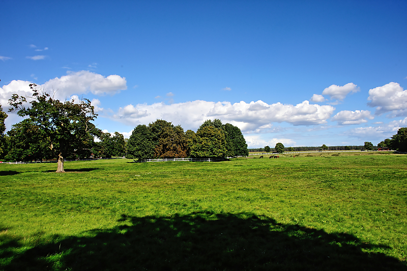 DSC_7824.jpg