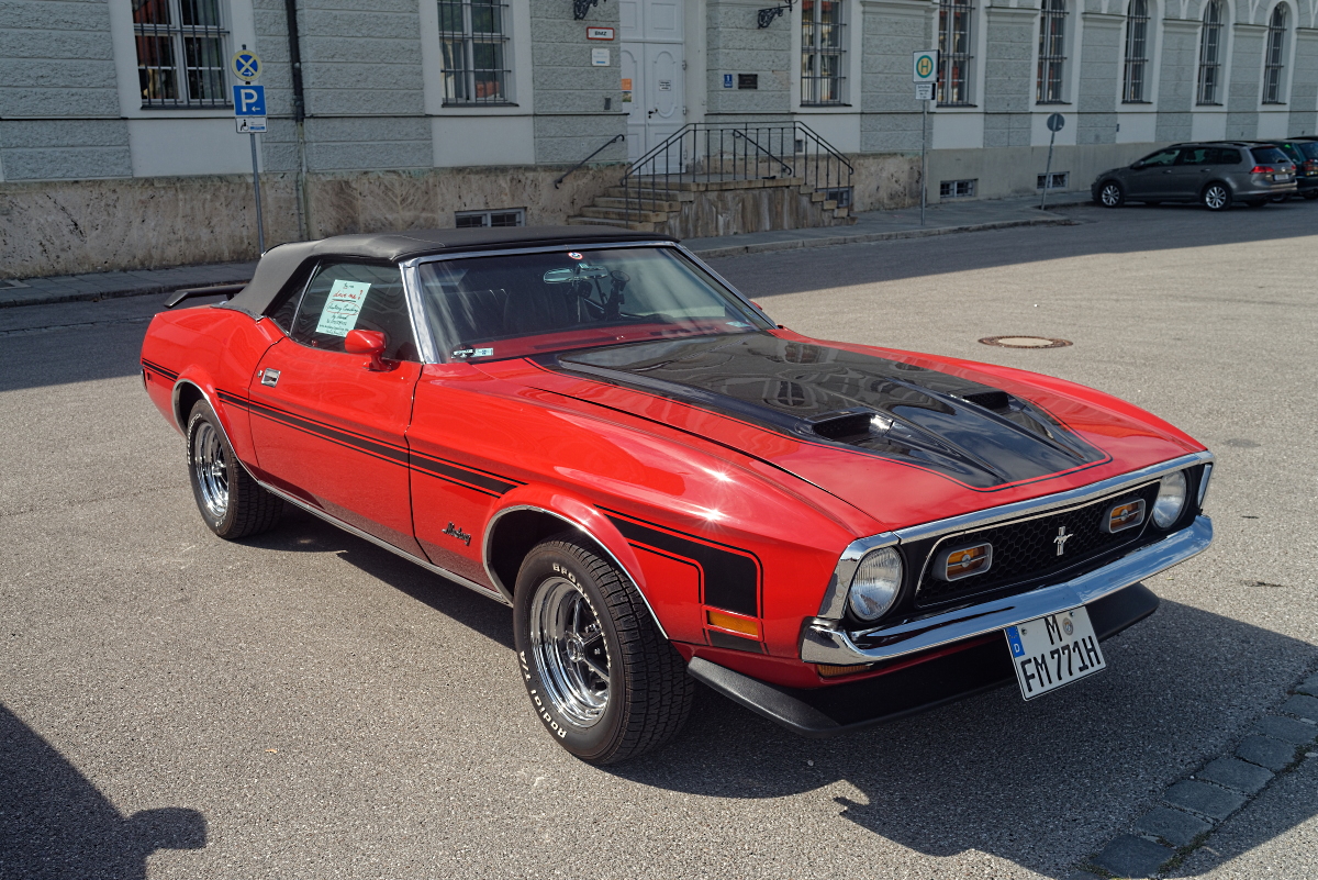 DSC_7824_DxO.jpg
