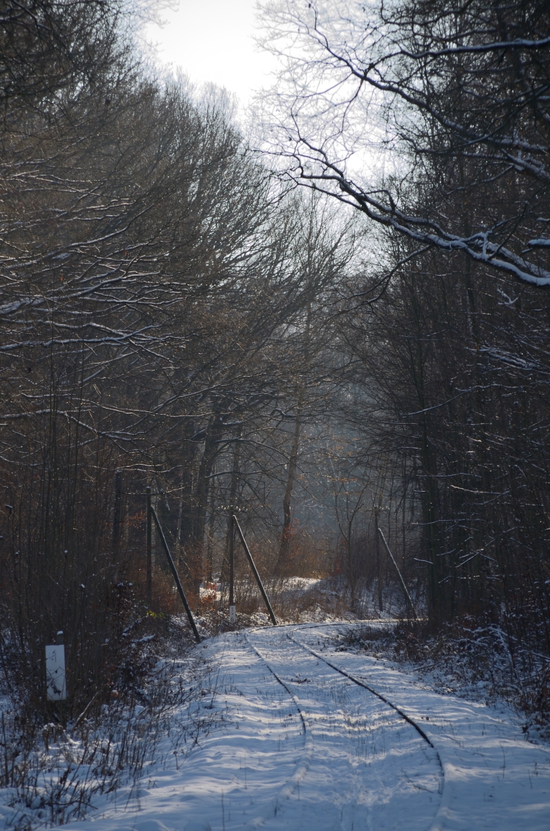 DSC_7830_00001n.jpg