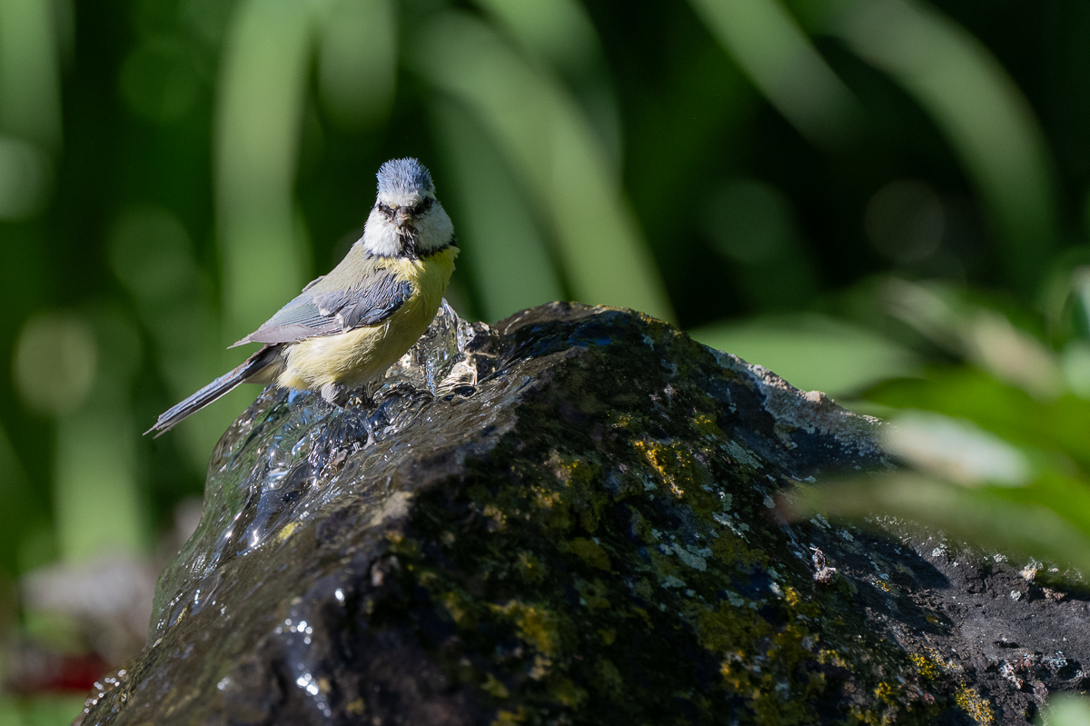 DSC_7838.jpg