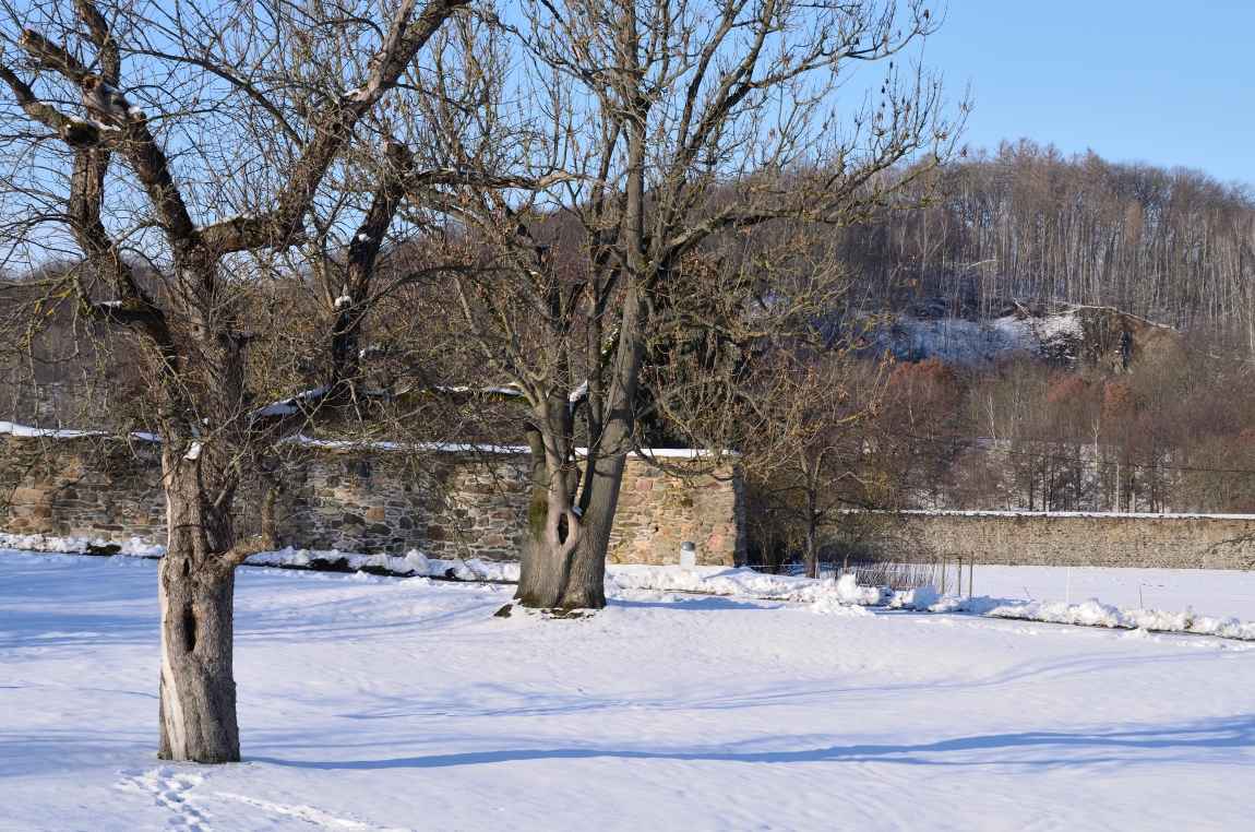 DSC_7840_00001n1.jpg