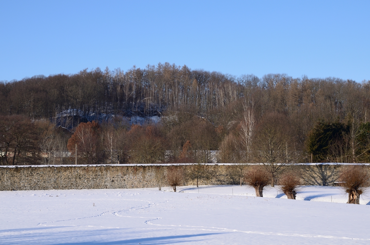 DSC_7856_00001n.jpg