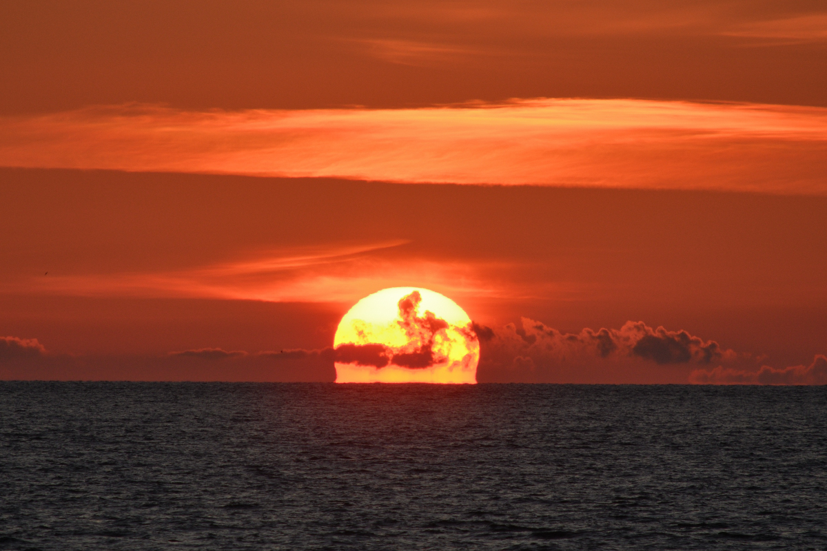 DSC_7858.JPG