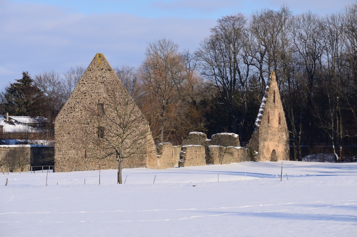 DSC_7871_00001n.jpg