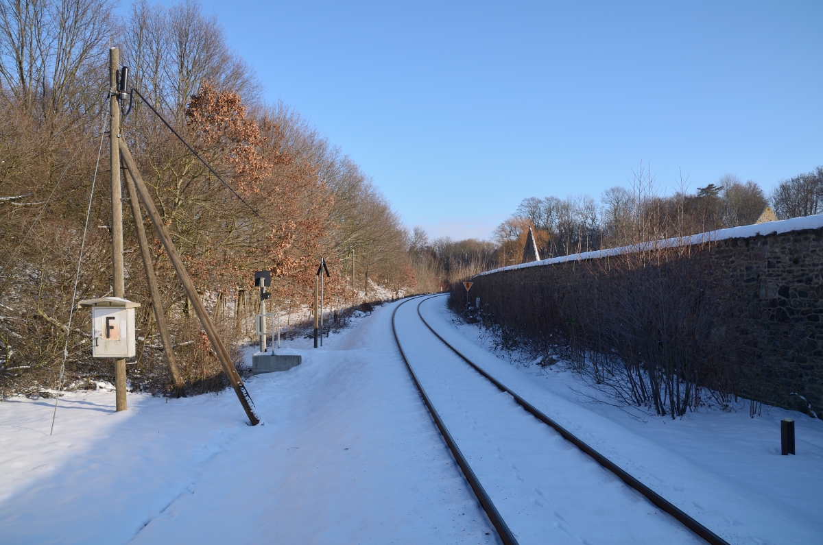 DSC_7879_00001n.jpg