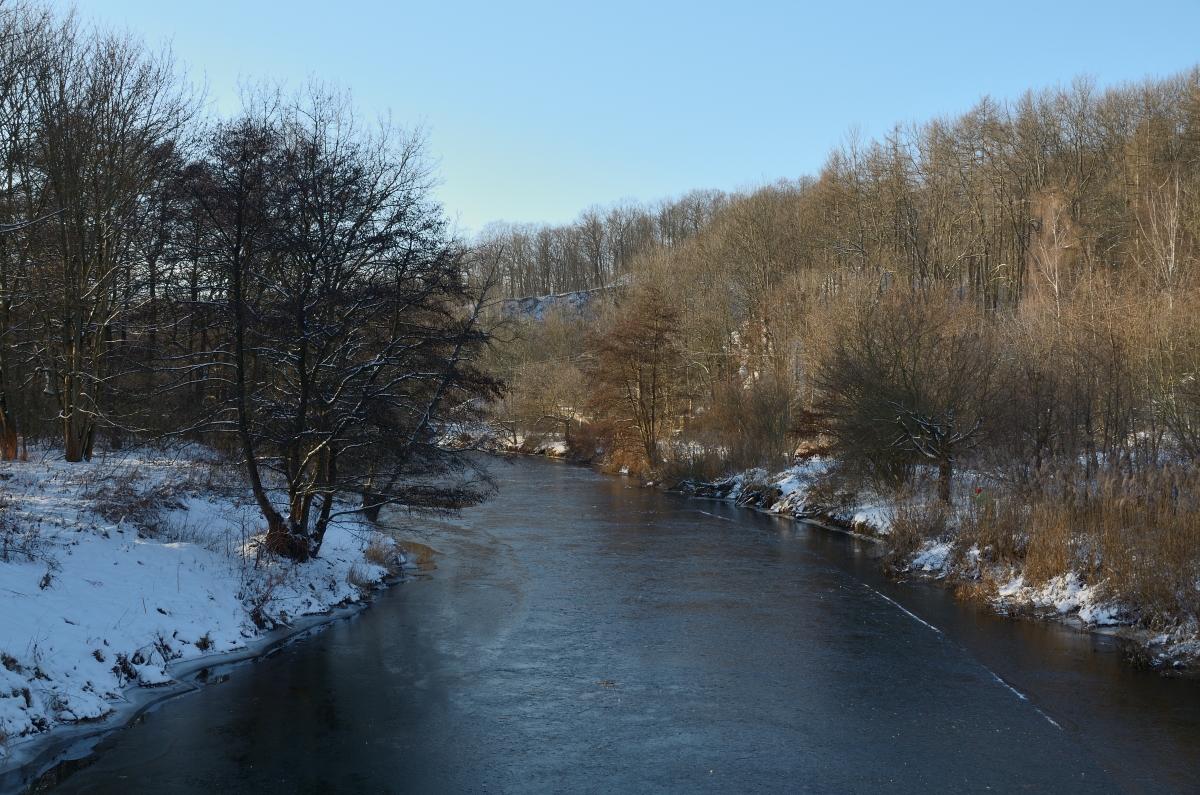 DSC_7885_00001n.jpg