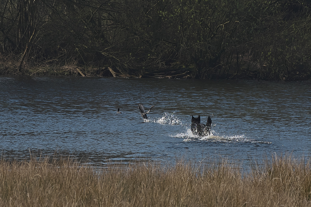 DSC_7974.jpg