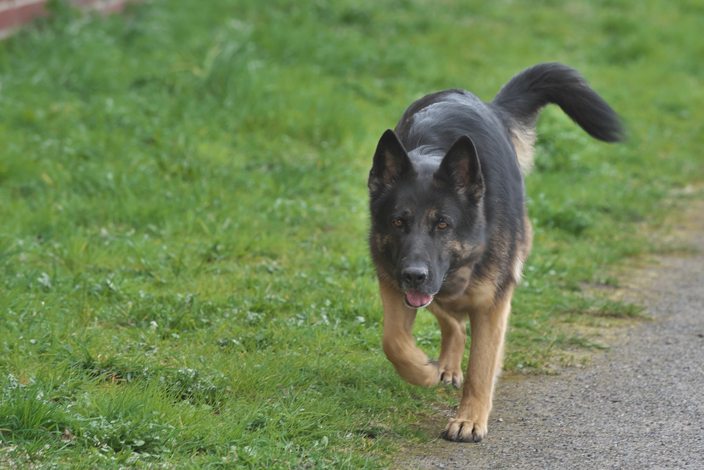 DSC_7998.jpg