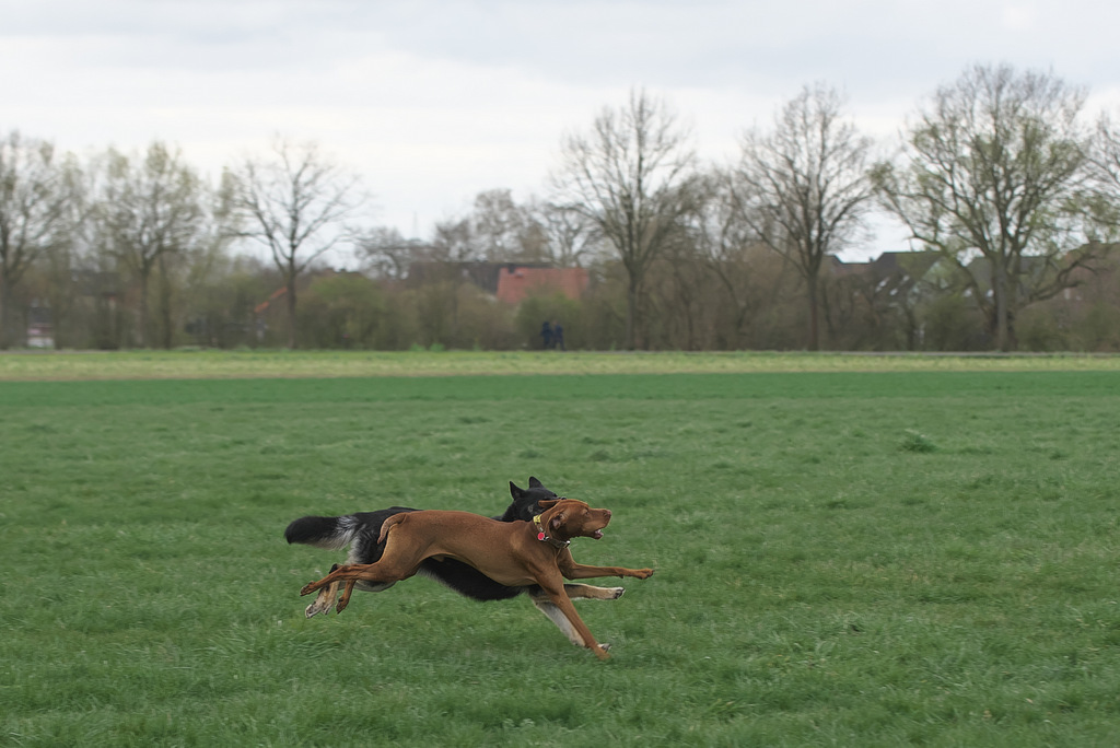 DSC_8012.jpg