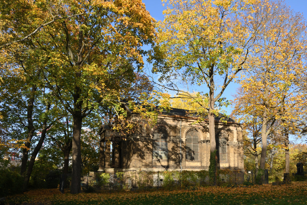 DSC_8031.JPG