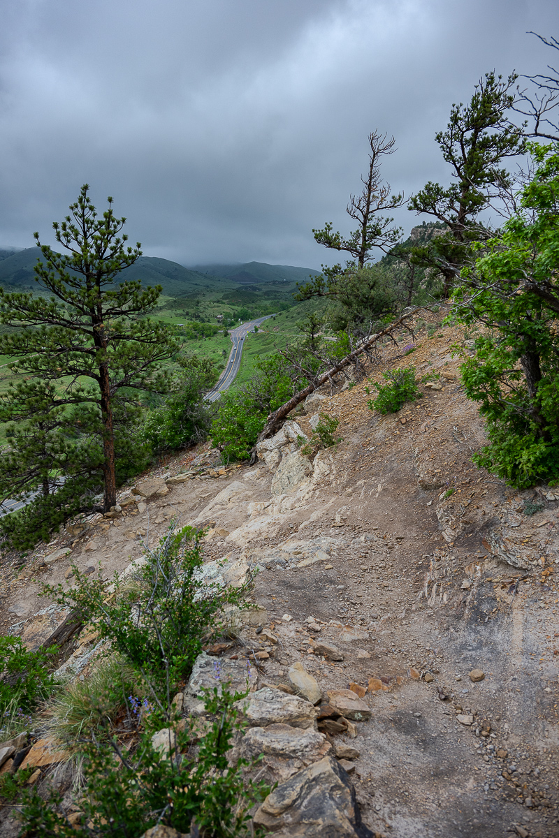 DSC_8039.jpg