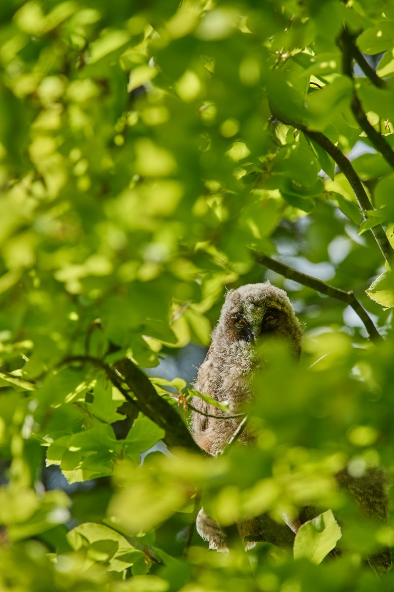 DSC_8046.jpg