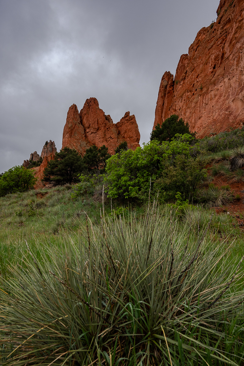 DSC_8058.jpg