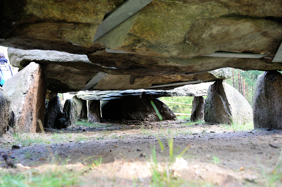 DSC_8063.jpg