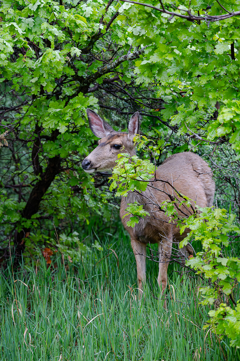 DSC_8076.jpg