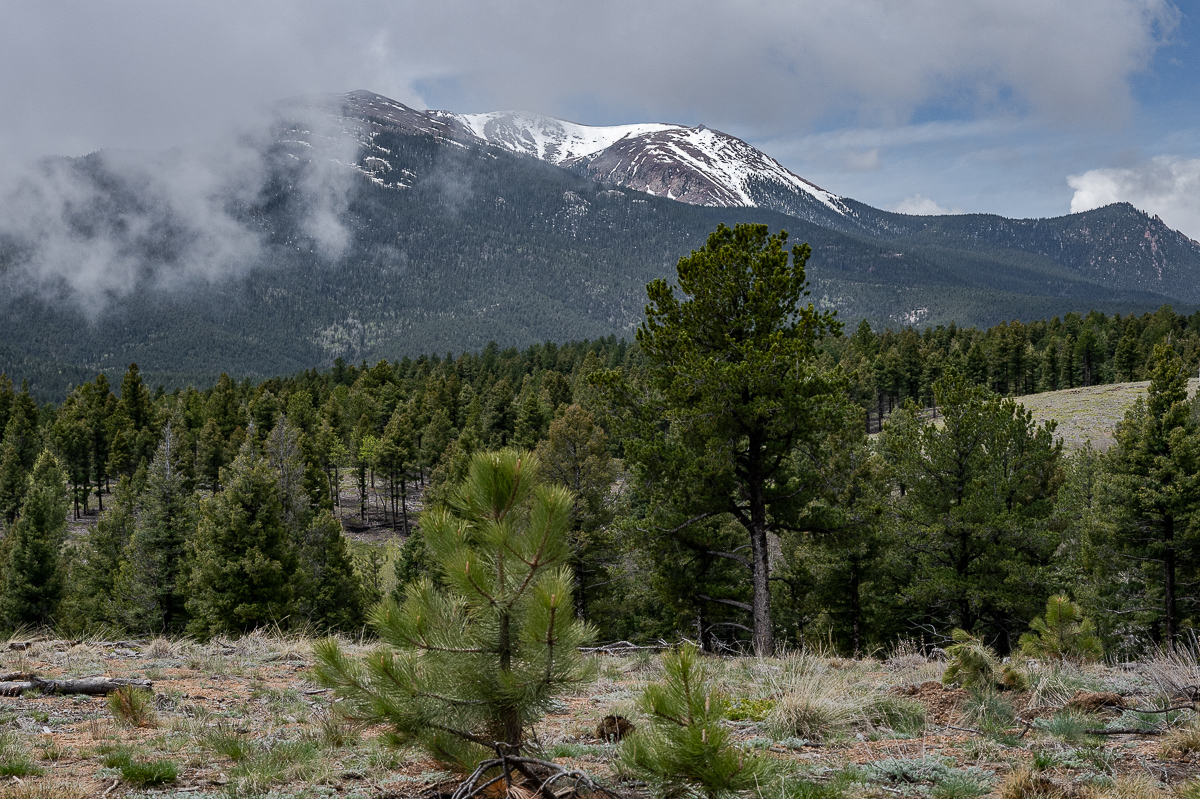 DSC_8105.jpg