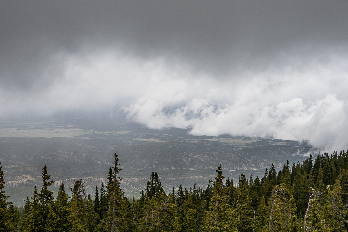 DSC_8115.jpg