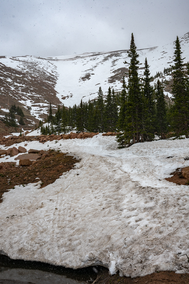 DSC_8122.jpg
