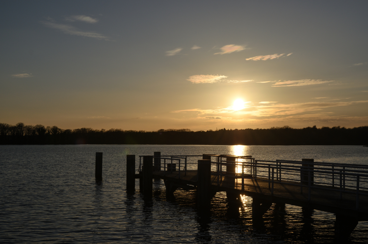 DSC_8137.JPG