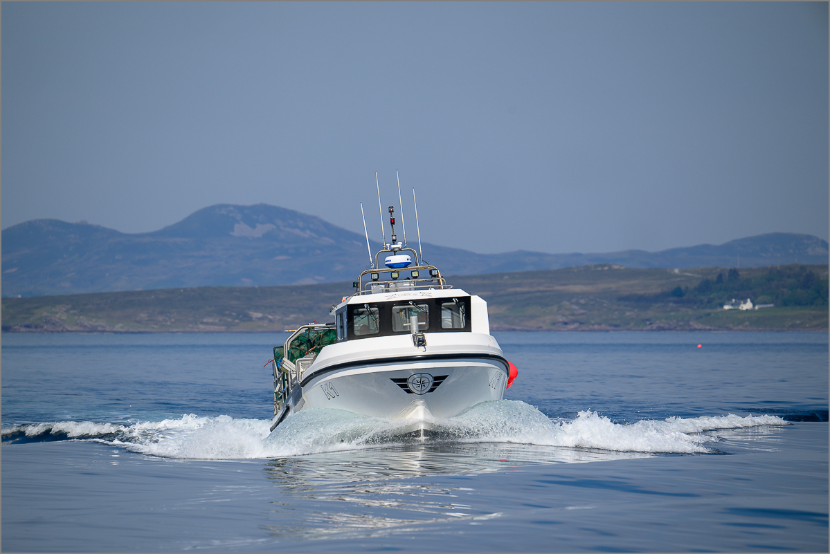 DSC_8147.jpg