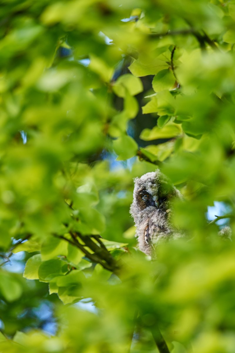 DSC_8156.jpg