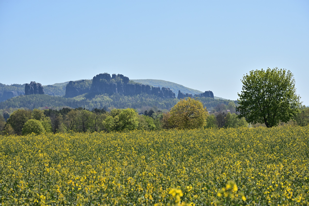 DSC_8168.JPG