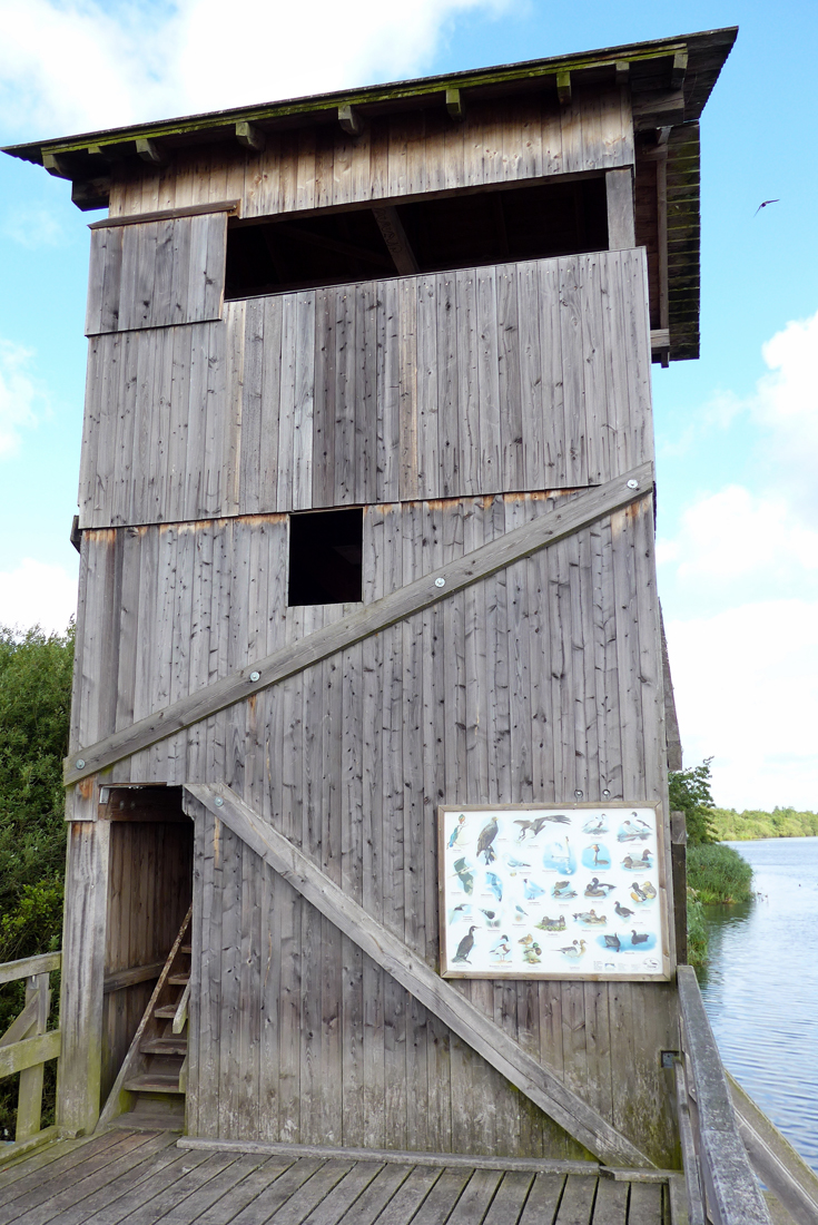 DSC_8171.jpg