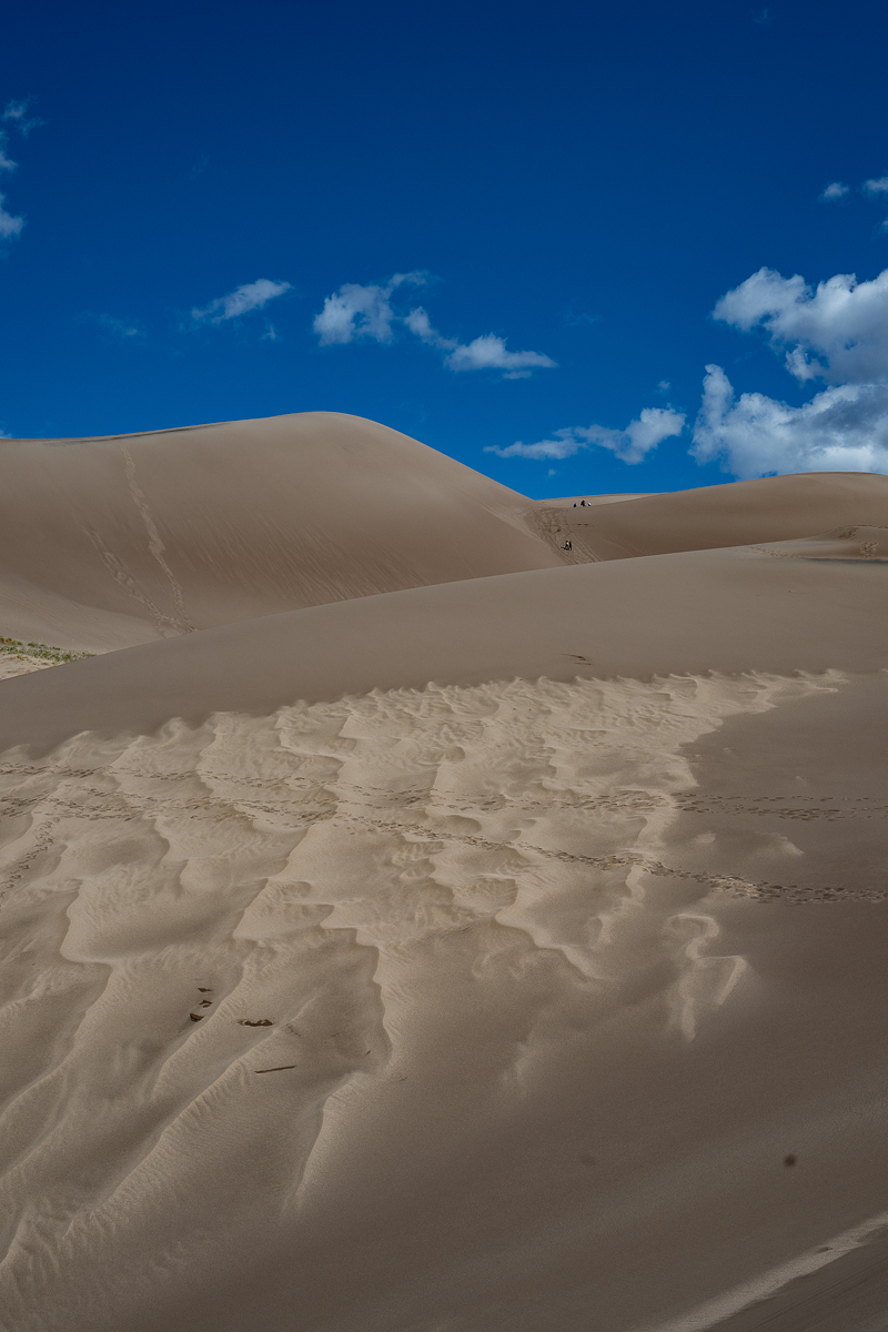 DSC_8182.jpg