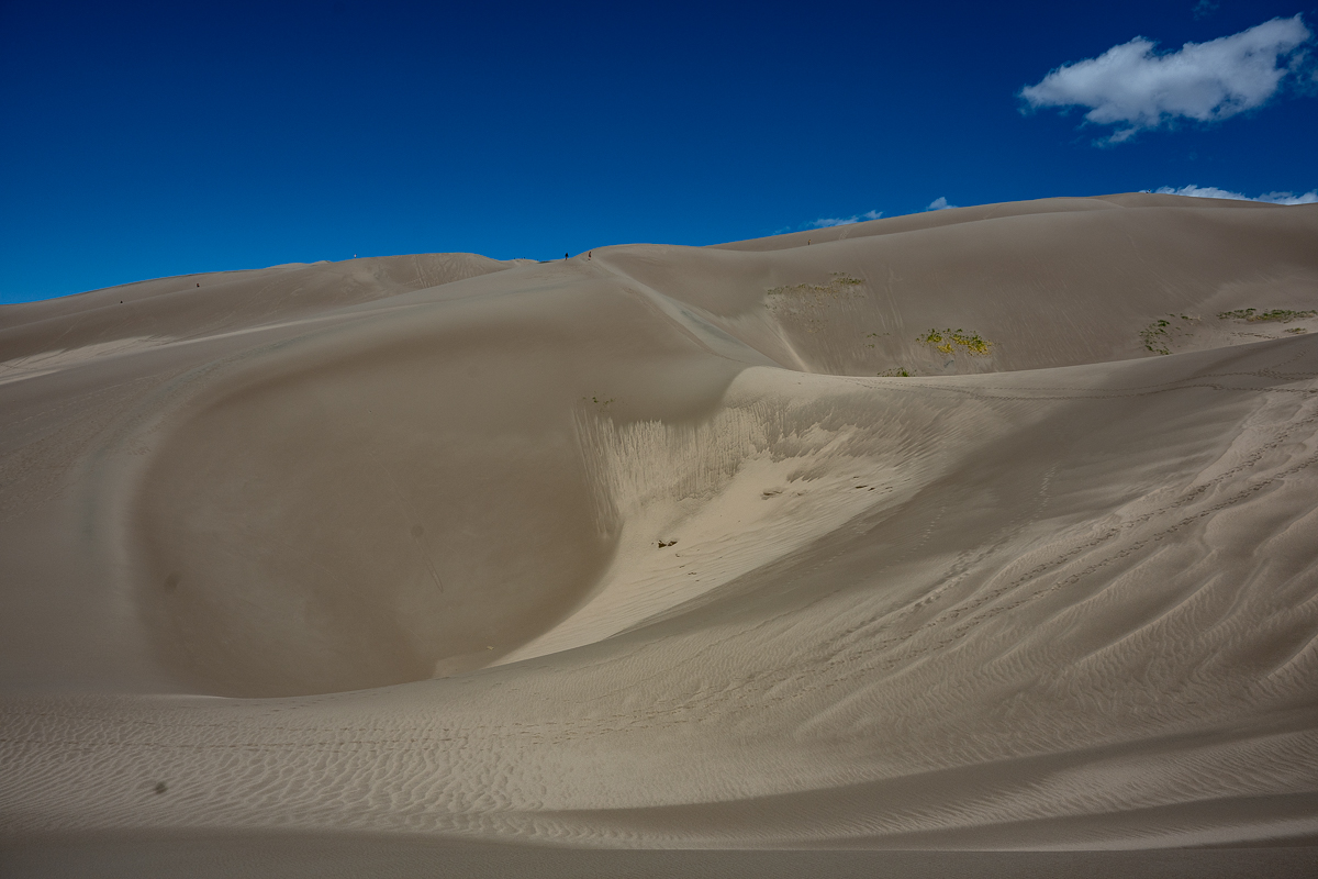 DSC_8183.jpg