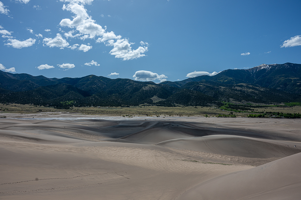 DSC_8184.jpg