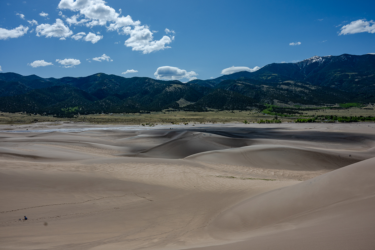 DSC_8185.jpg