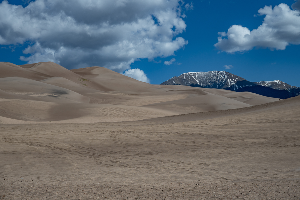 DSC_8192.jpg