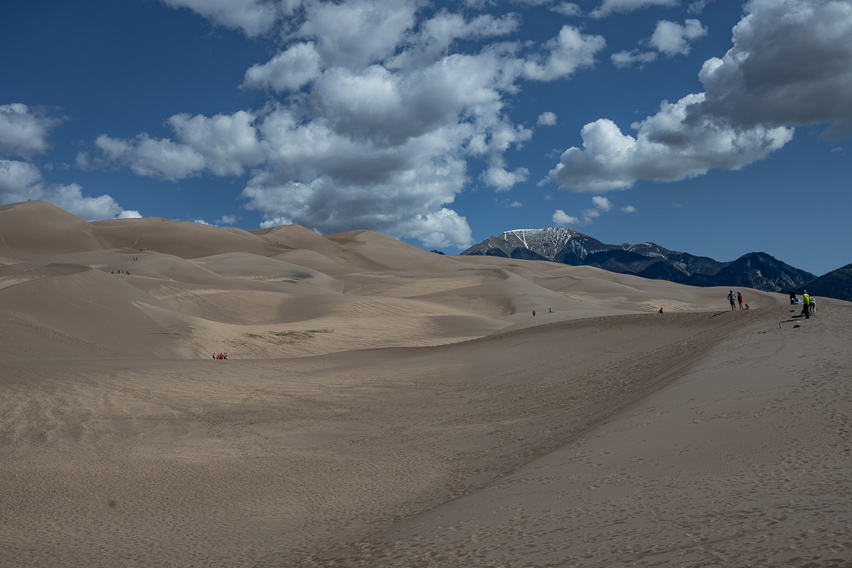 DSC_8193.jpg